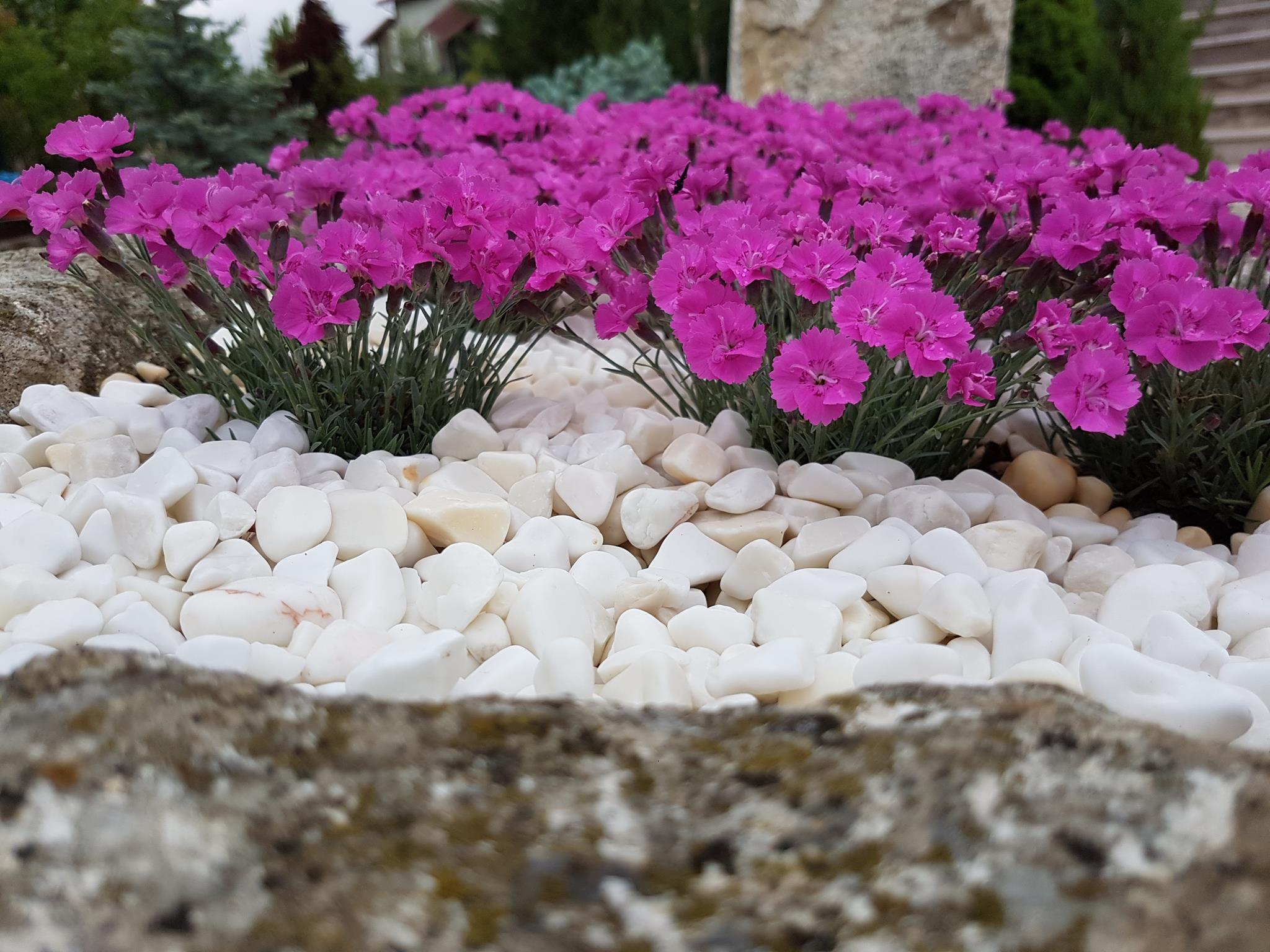 DOLOMİT TAŞI UYUGULAMA